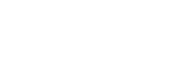 Merrill-Lynch